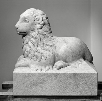 Lion 3 345px