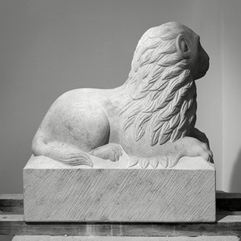 Lion 4 345px