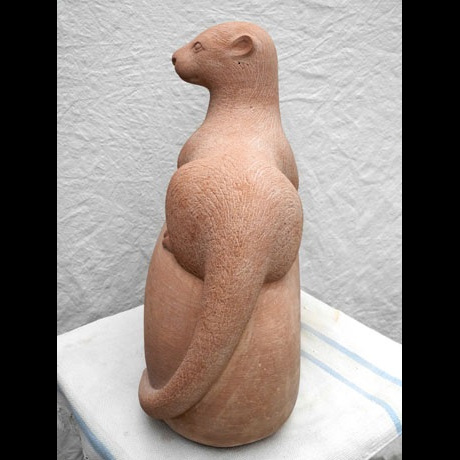 squareotter3460px