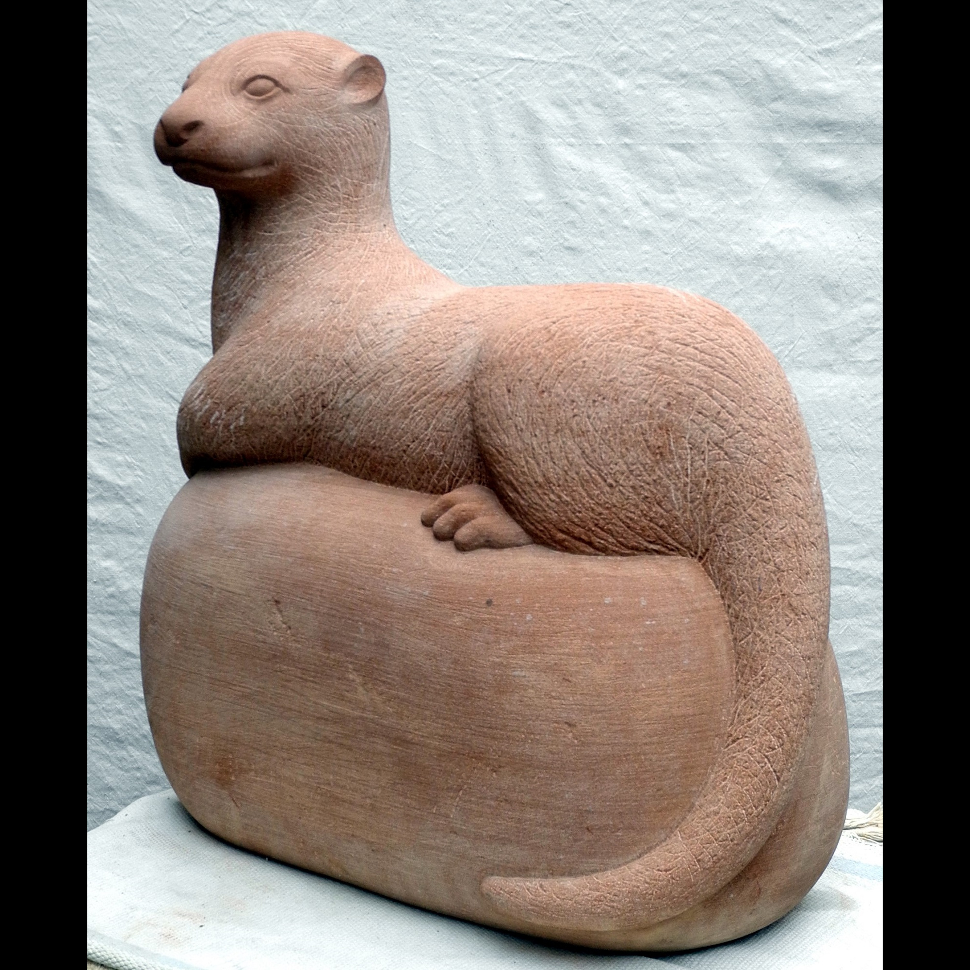 squareotter42000px